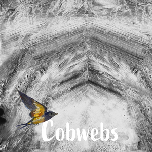 Cobwebs