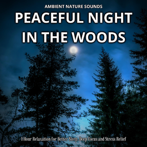 Peaceful Night in the Woods (Outro)