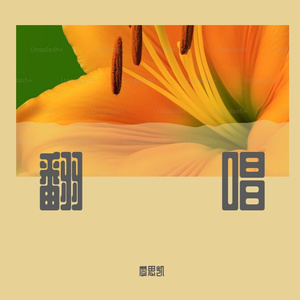 像我这样的人-吉他版