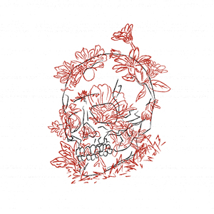 Друг (Клиническая)