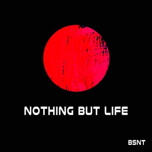 Nothing But Life (Original mix)