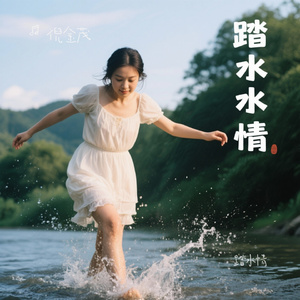 踏水情