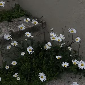 人生是张单程票