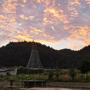 哥妹好似鱼共塘