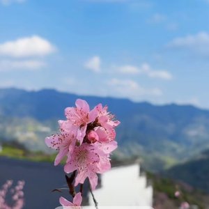 纯妹妹浩哥哥唱李白