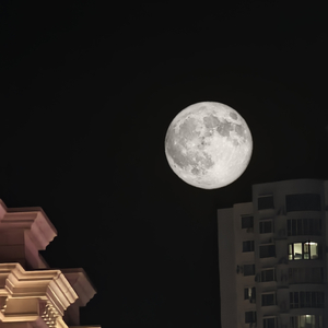 94慎独-你就不要想起我.wav（罐罐 remix）