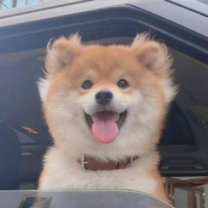 仇远旭-美人鱼(快版)（⁣⁡ ⁠⁢⁡⁣⁡ ⁠⁢ ）