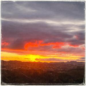 Flight of the Feather aka Mid day Freestyle