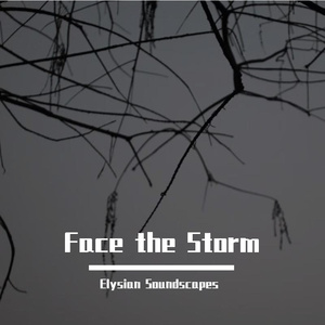 Face the Storm(feat. Ethan Brooks )