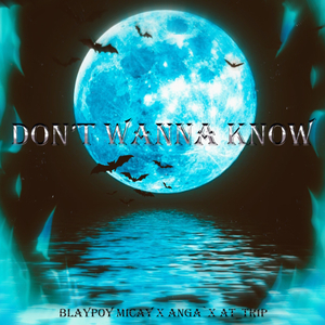 DON'T WANNA KNOW