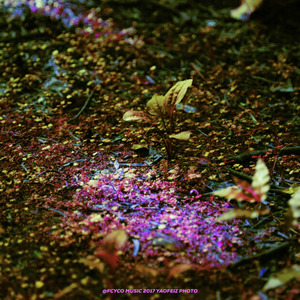 luv me or hate me