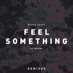 Feel Something (feat. Remmi) (warner case Remix)