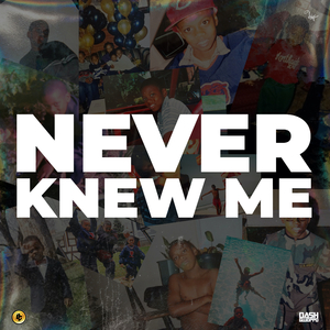 Never Knew Me