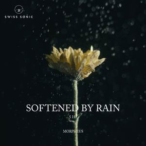 Softened By Rain