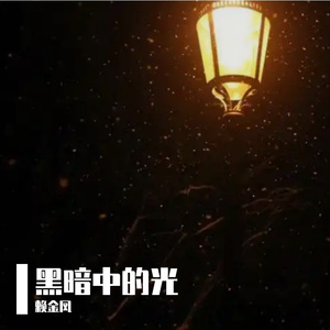 黑暗中的光 伴奏