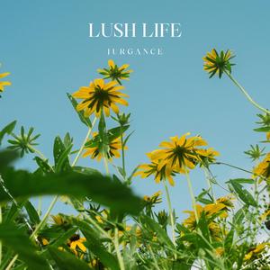 Lush Life