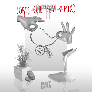 Jorts (Lil Beat Remix)