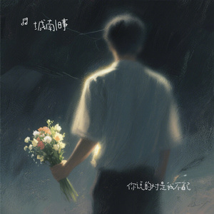 你说的对是我不配