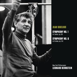 Symphony No. 6 in D Minor, Op. 104:I. Allegro molto moderato