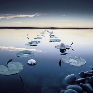 人生长恨水长东