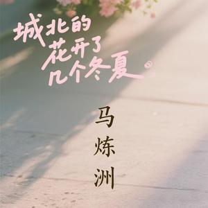 城北的花开了几个冬夏