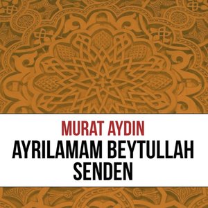 Muhammed (s.a.v) 'ı Görelim