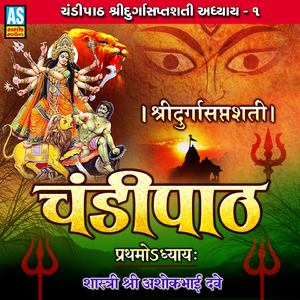 Chandi Path Shree Durga Saptshati (Durga Mantra)
