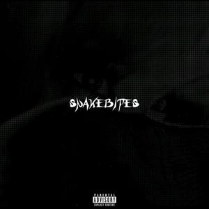 SNAKEBITES (feat. glaregrave)