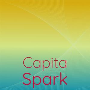 Stevedoring Direction