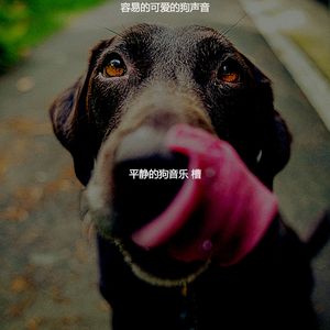 一尘不染心情印象数