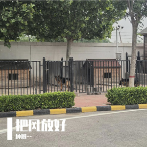 把风放好
