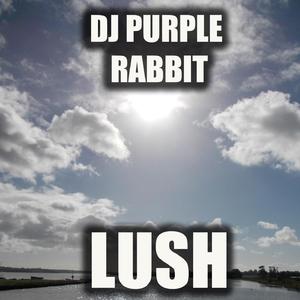 Lush (Miyake Noro soulful remix)