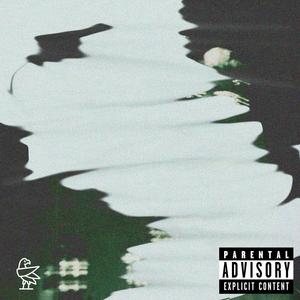 5AM