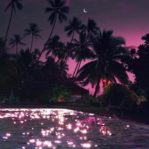 宿敌(女生吉他版)