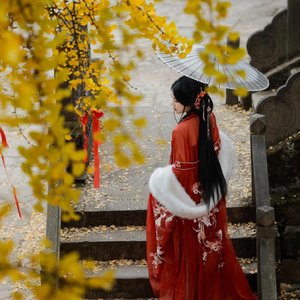 世上没有真感情 -