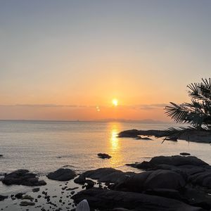 白山茶（Cover 陈雪凝）