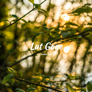 Lut Gaye