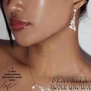 SENORITA (feat. Isaiah!*, DOM THE ARTIST, Jayden, ICY MELO & Subterical)