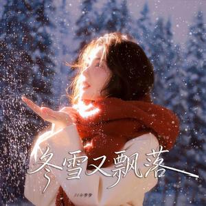 冬雪又飘落