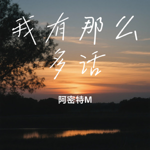 我有那么多话
