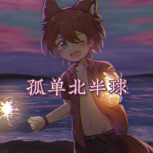 孤单北半球