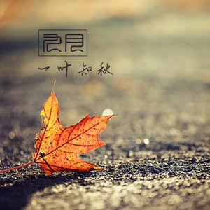 九月，一叶知秋