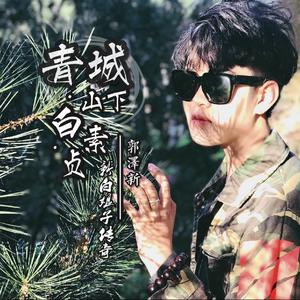 青城山下白素贞（民乐版）