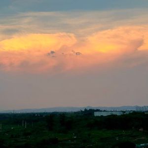 大龄文艺女青年之歌