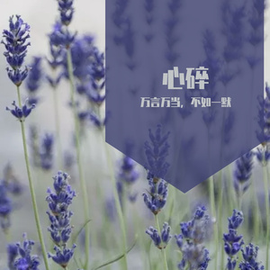 多想在平庸的生活拥抱你