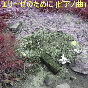 ????????????????? : WoO.59 (??? - ????)