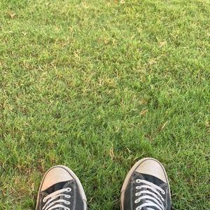 la fine (feat. i feel infinite & Hanging aliens)