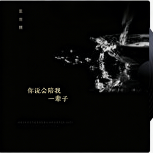 _你说会陪我一辈子 (动感版)