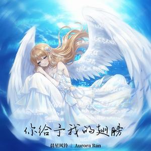 你给予我的翅膀