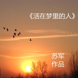 活在梦里的人